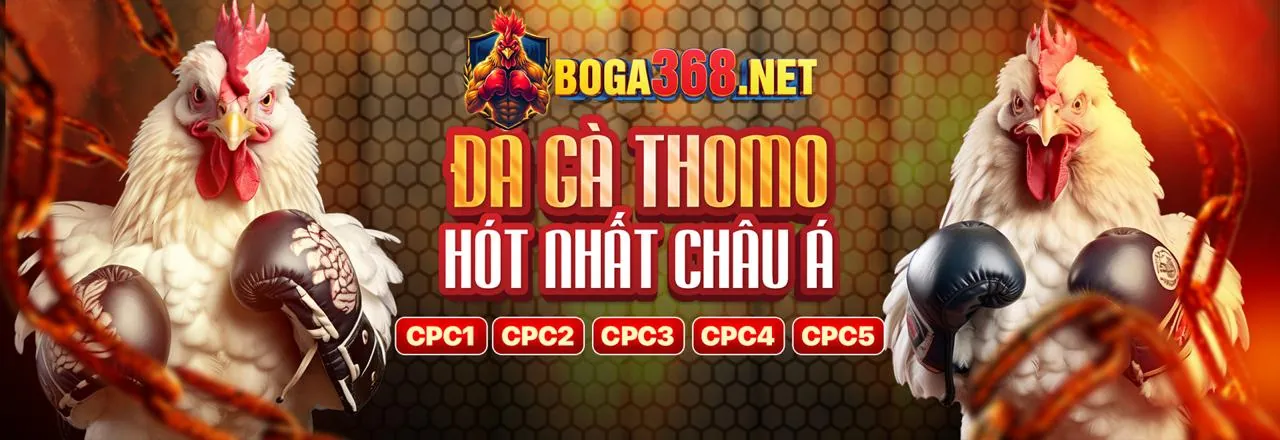 Sân đấu đá gà trực tuyến sôi động tại Bong99 Code